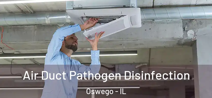 Air Duct Pathogen Disinfection Oswego - IL