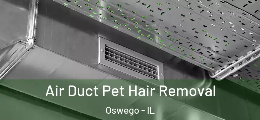  Air Duct Pet Hair Removal Oswego - IL