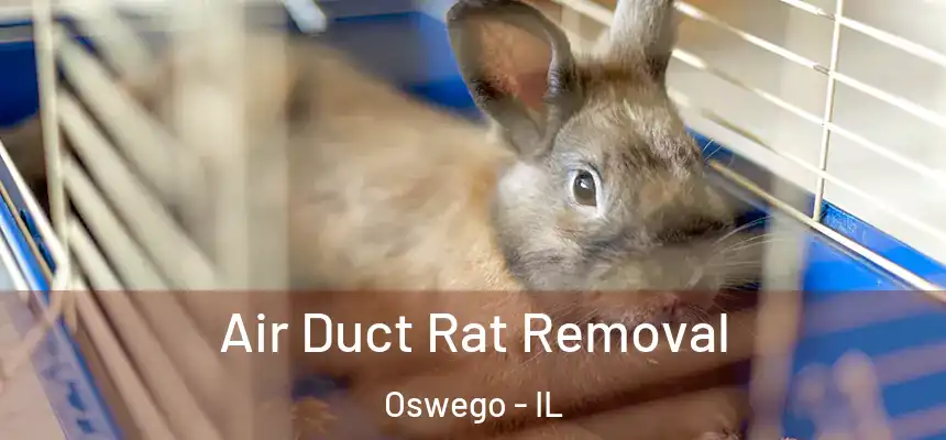  Air Duct Rat Removal Oswego - IL
