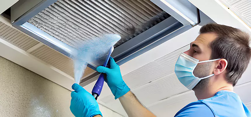 Proactive Dryer Vent & Auxiliary Duct Pollen Cleanup in Oswego, IL