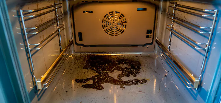 Our Dryer Vent Mold Cleaning Services in Oswego, IL