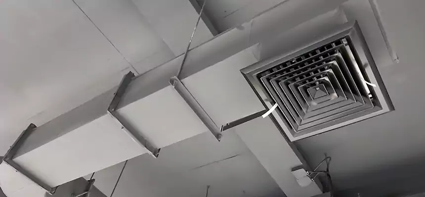 Our Pest Removal From Ducts Services in Oswego, IL