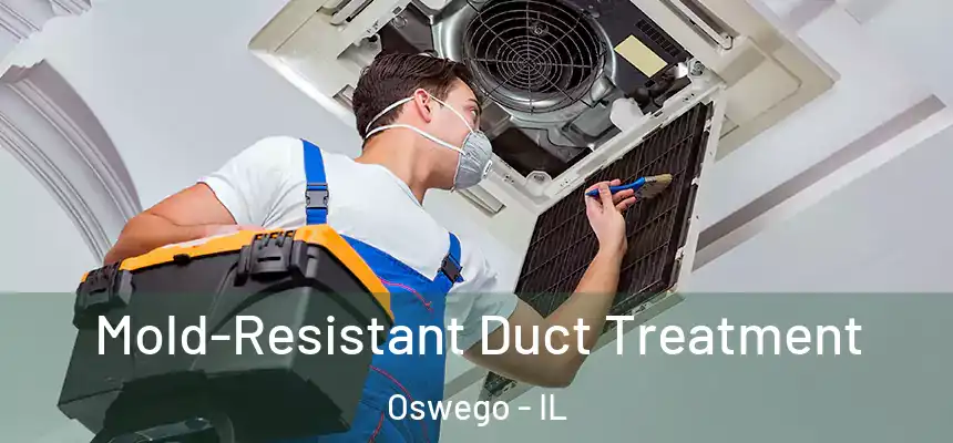  Mold-Resistant Duct Treatment Oswego - IL
