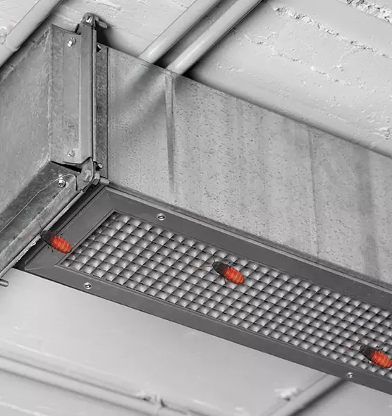 About Air Duct Cockroach Removal in Oswego, IL