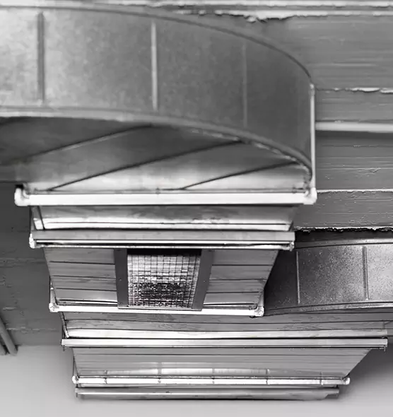 Professional Air Duct Pest Removal in Oswego, IL