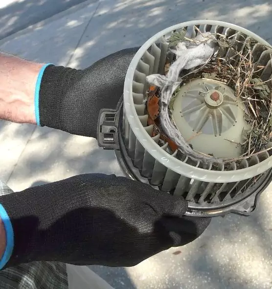 About Air Duct Rat Removal in Oswego, IL