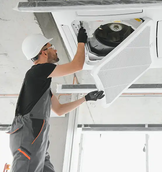 About Air Duct Rodent Removal in Oswego, IL