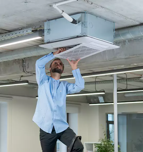 Advanced Rodent Droppings In Vents in Oswego, IL