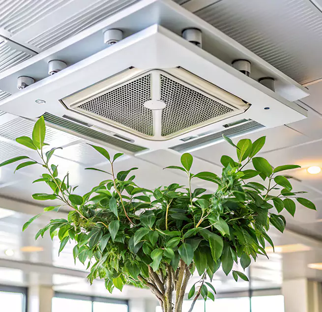 Why Homeowners & Businesses Trust Us in Oswego, IL