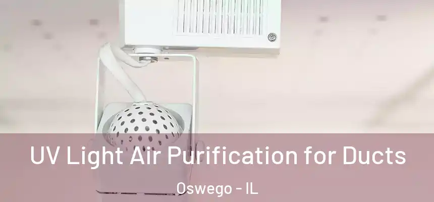  UV Light Air Purification for Ducts Oswego - IL